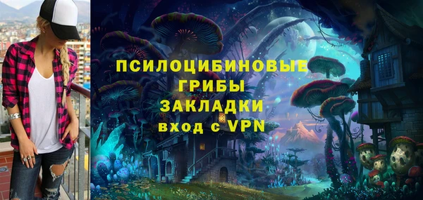 метадон Арсеньев