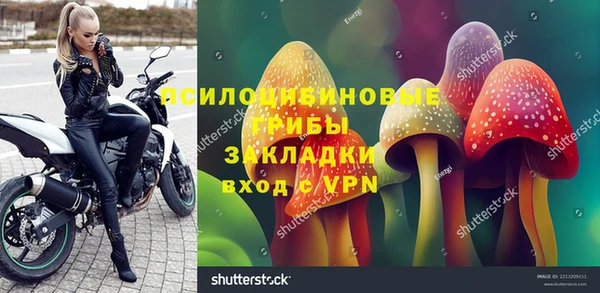 метадон Арсеньев