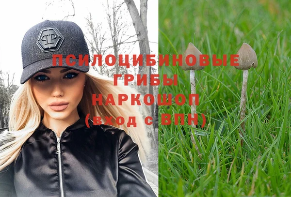 a pvp Аркадак