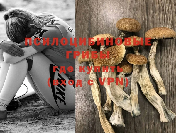 кокс Армянск