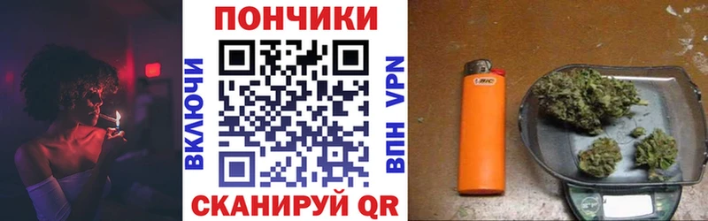 Шишки марихуана марихуана  закладка  Ельня 